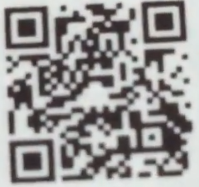 トゲニャンqr2
