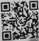 ホノボーノqr4