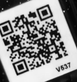 トゲニャンqr1