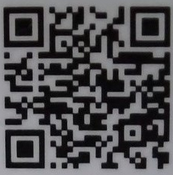 メラメライオンqr9