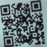 ドンヨリーヌqr4