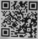 トゲニャンqr4