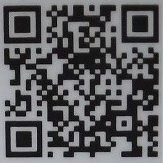 ブリー隊長qr8
