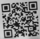 ブリー隊長qr11