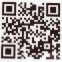 メラメライオンqr4