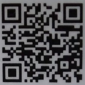 メラメライオンqr10