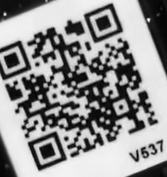 トゲニャンqr6
