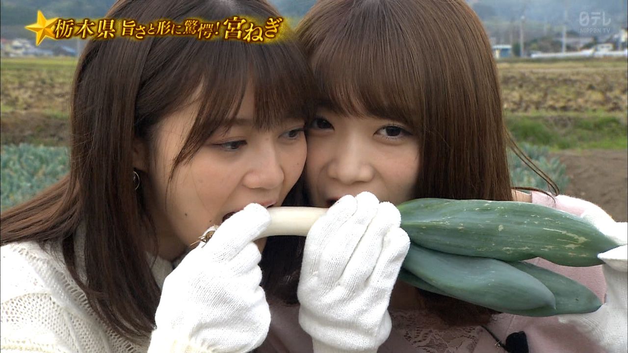 秋元真夏と生田絵梨花が 二人で一本のネギをかじる姿 が可愛すぎるｗｗｗｗｗ 乃木坂46 乃木坂46まとめたいよ