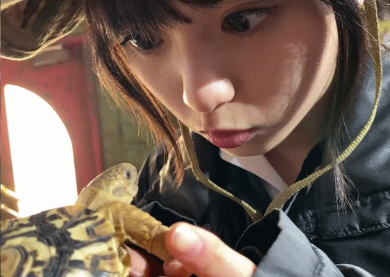 乃木坂46 亀と遊ぶ齋藤飛鳥 乃木坂46まとめたいよ