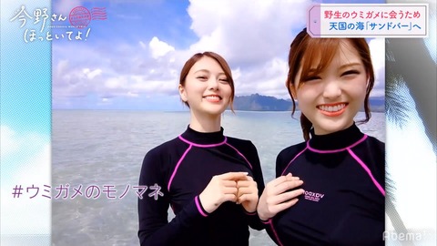 cap004124