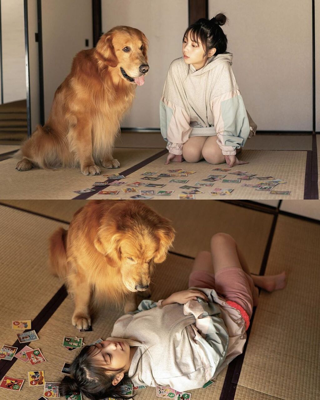 乃木坂46 与田祐希と犬 乃木坂46まとめたいよ 乃木坂46 与田祐希と犬 乃木坂46まとめたいよ