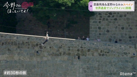cap007238