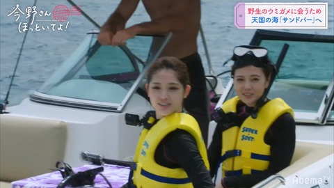 cap004134