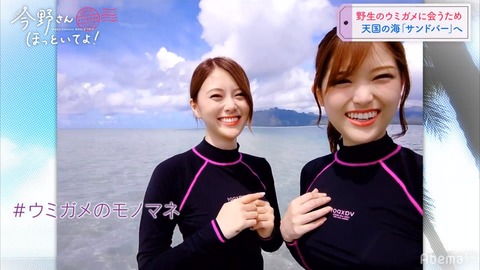cap004125