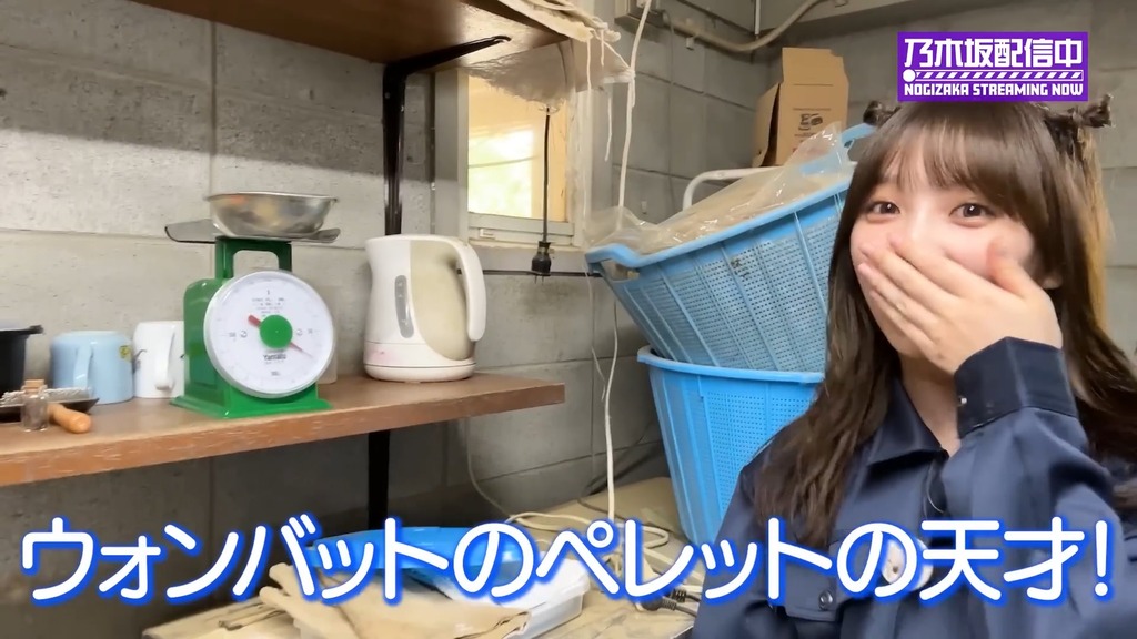 videoplayback (5).mp4_snapshot_10.02_[2024.06.04_17.50.21]