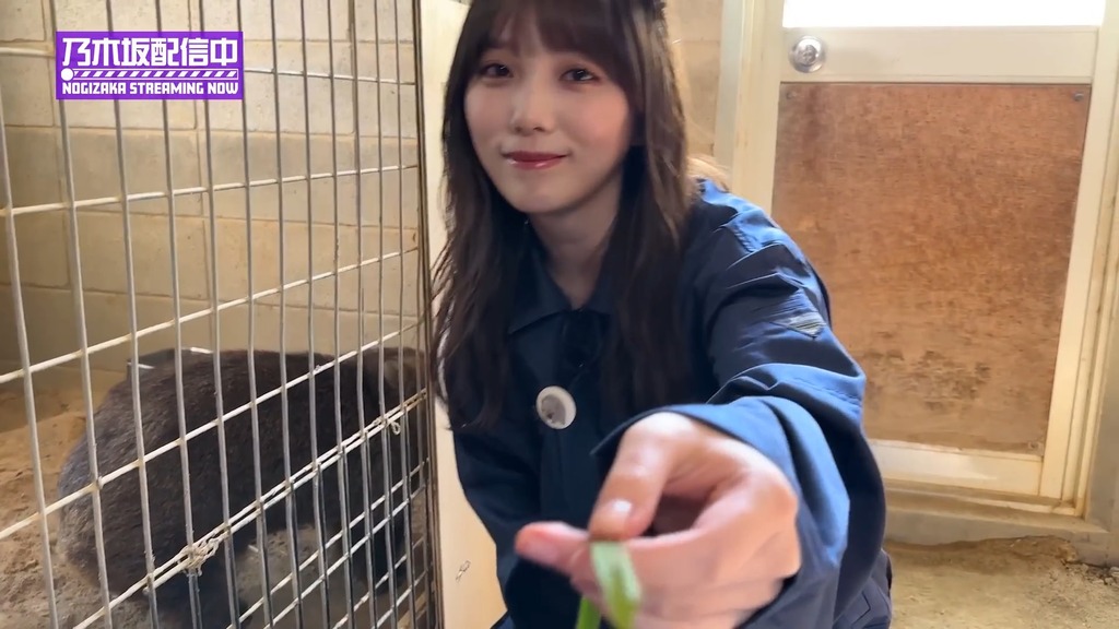 videoplayback (5).mp4_snapshot_12.49_[2024.06.04_17.53.43]