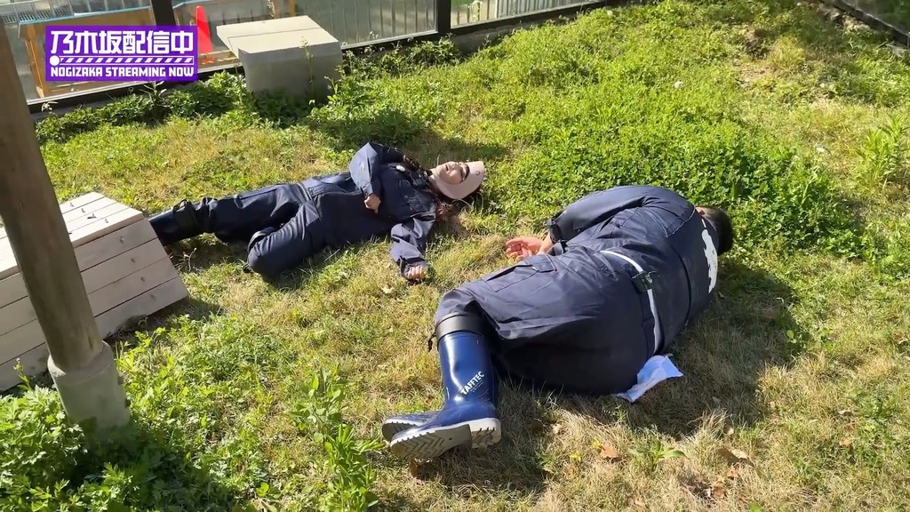 videoplayback (5).mp4_snapshot_20.38_[2024.06.04_18.00.40]