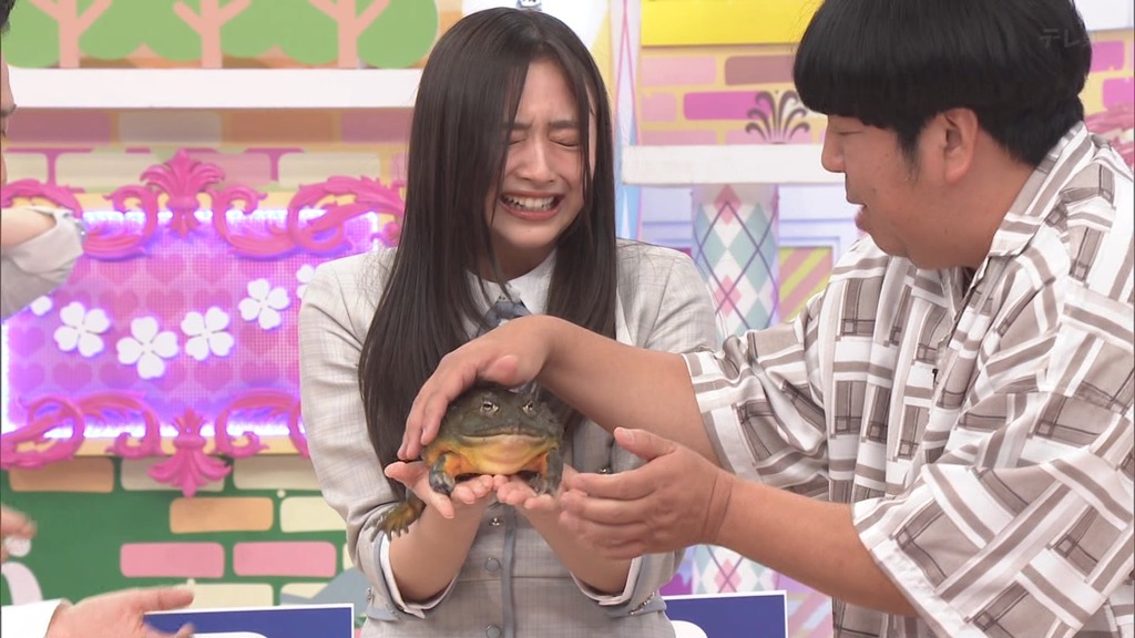 240630 乃木坂工事中 ep469.ts_snapshot_07.11_[2024.07.04_13.17.25]