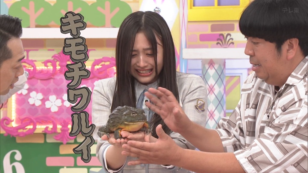 240630 乃木坂工事中 ep469.ts_snapshot_07.18_[2024.07.04_13.17.46]