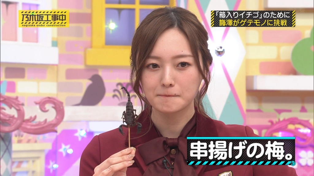 240407 乃木坂工事中 ep457.ts_snapshot_23.00_[2024.04.08_14.27.25]
