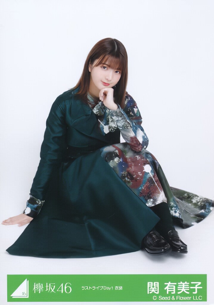 関有美子 生写真 まとめ売り 櫻坂46 関有美子 生写真 - メルカリ