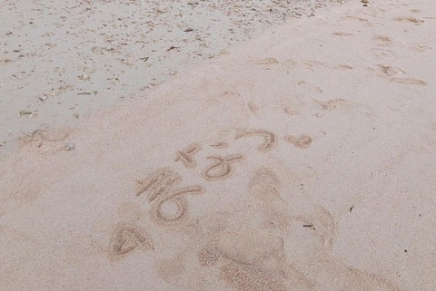 x01330791_n