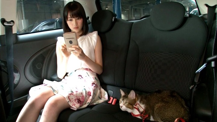 snapshot_dvd_14.46_[2024-08-06_22.46.54]