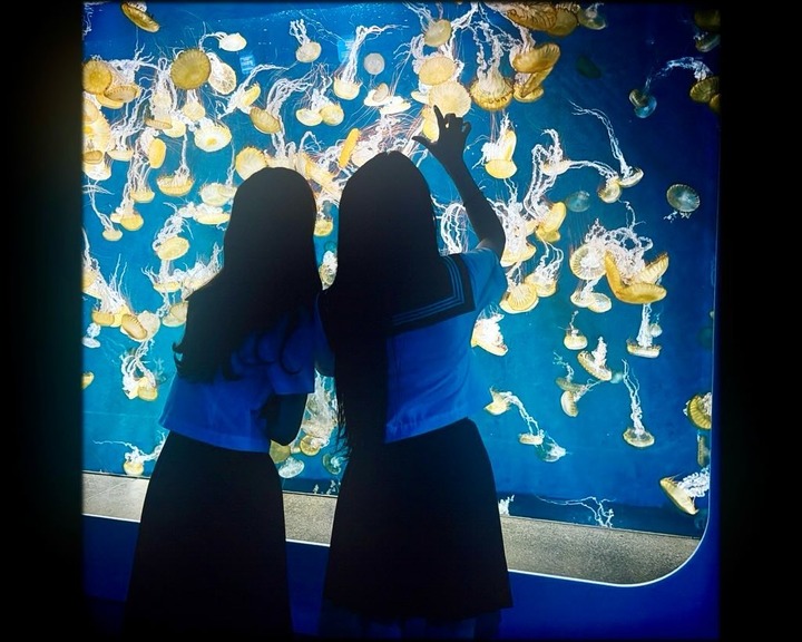 x木坂ぶらり #しゃくめん