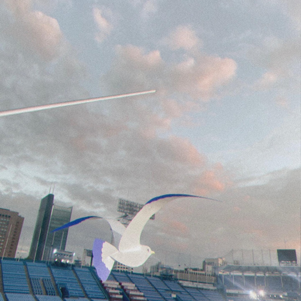 mv487_n