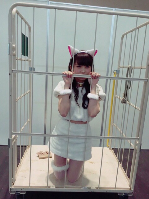 o14401920p