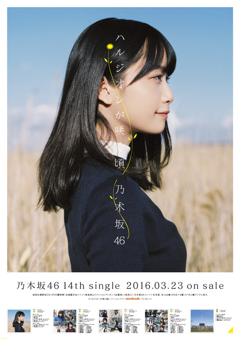 N46_B2_fukagawa