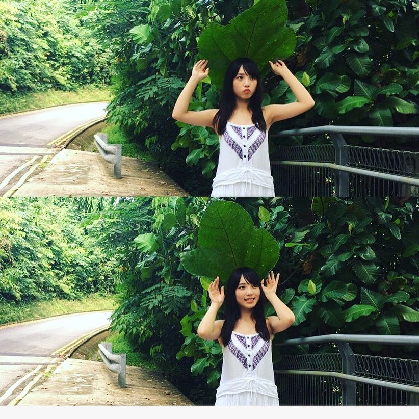 gentoshayoda_22344749_149747382298545_2649585489773854720_n