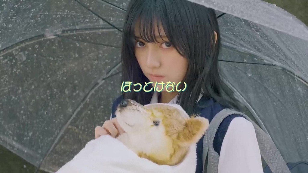 vlcsnap-error492