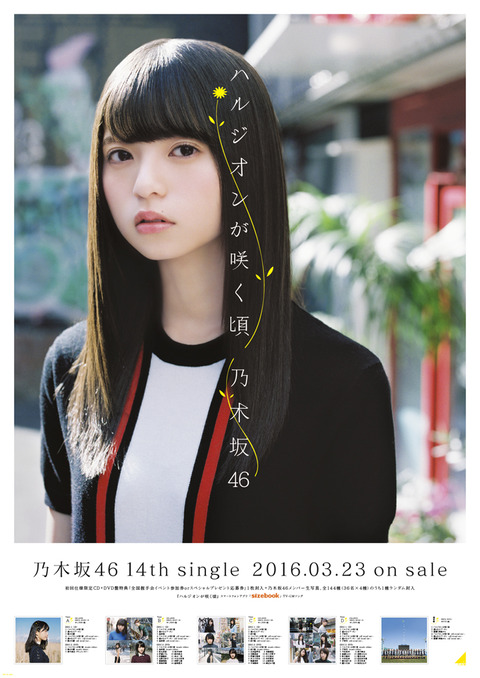 N46_B2_asuka