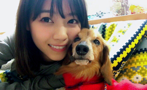 西野七瀬の質問返し 6 28更新 乃木坂辞典 西野七瀬の質問返し 6 28更新 乃木坂辞典