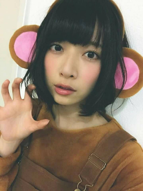 o14401920p