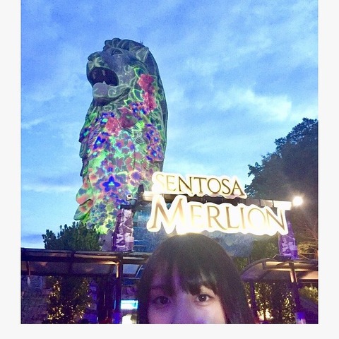 gentoshayoda_23161172_128357571162106_6759291089447813120_n