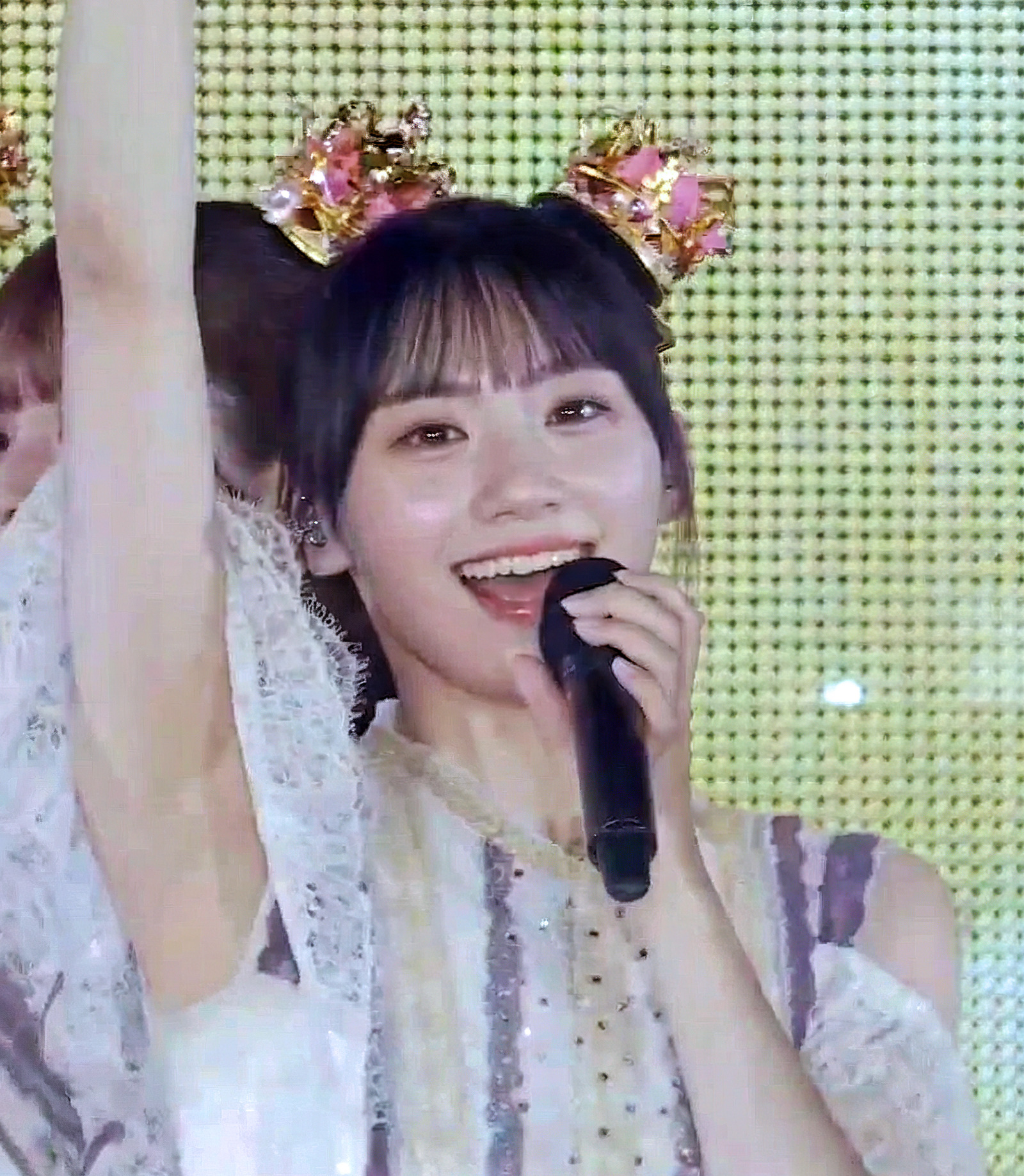 sdf sdf xcdd