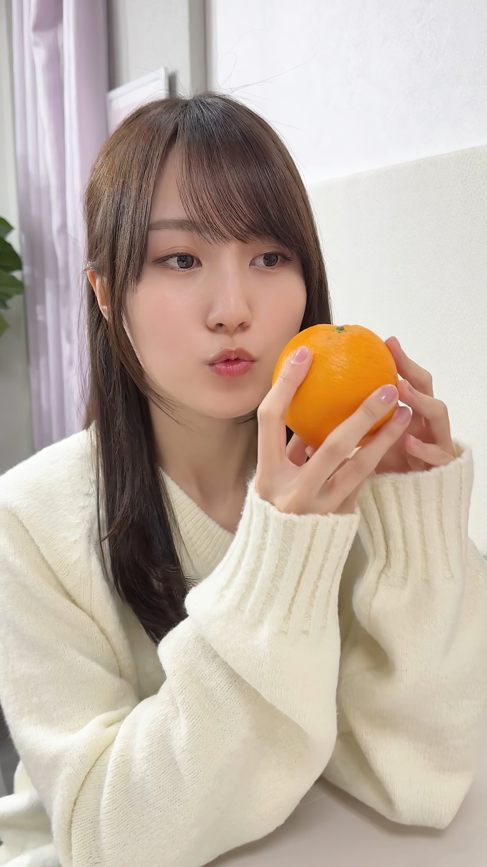 nogizaka46f2_00x