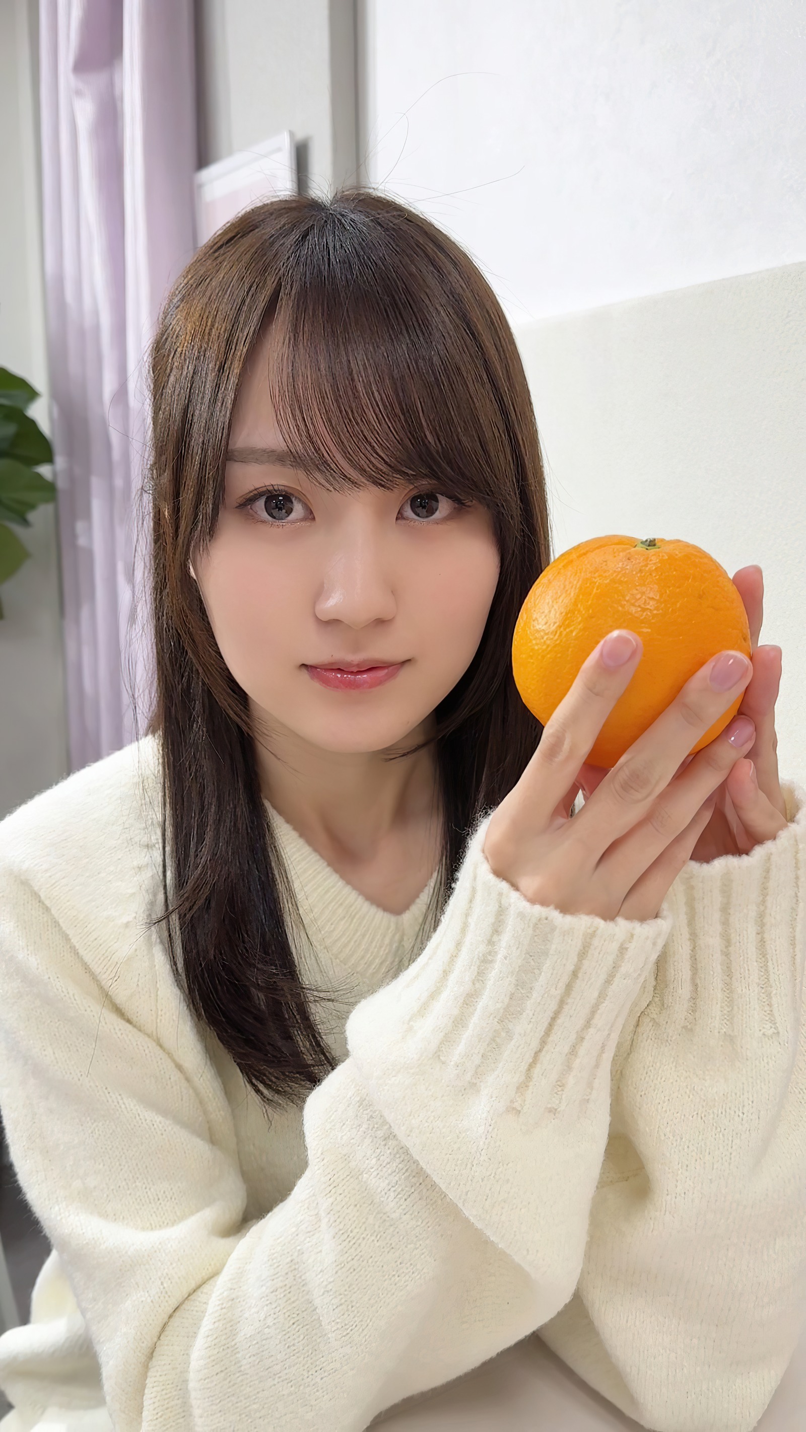nogizakafle-2_00x
