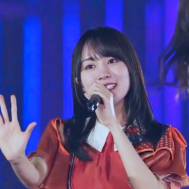 fds dse33