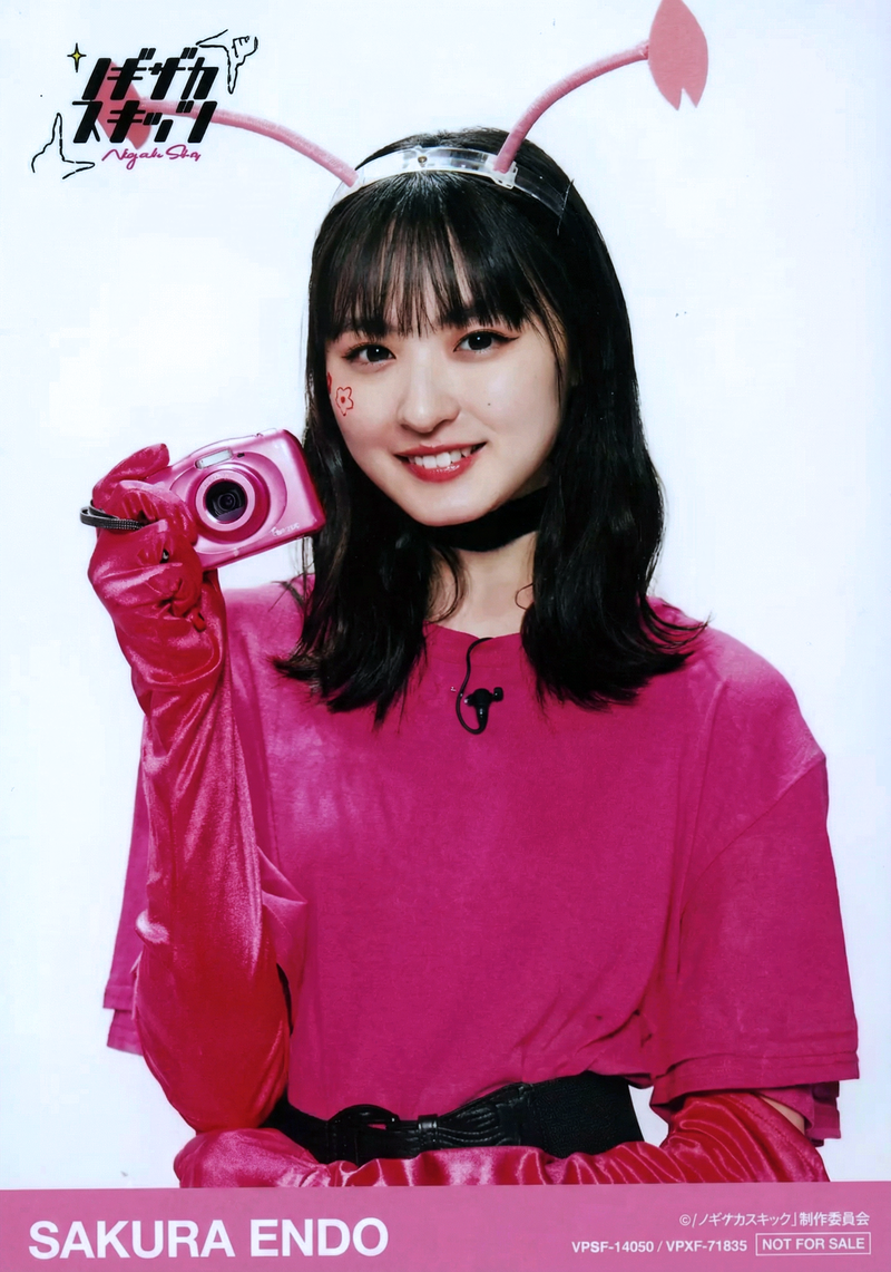 gemini-3-pro-image-preview-2k_a_ノイズ削除_高画質化 (85)