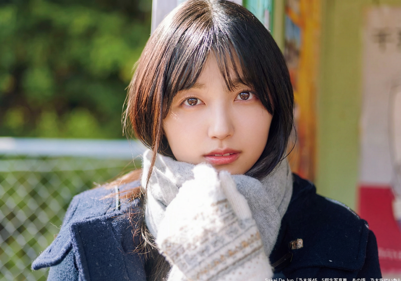 gemini-3-pro-image-preview-2k_a_ノイズ削除_高画質化 (31)
