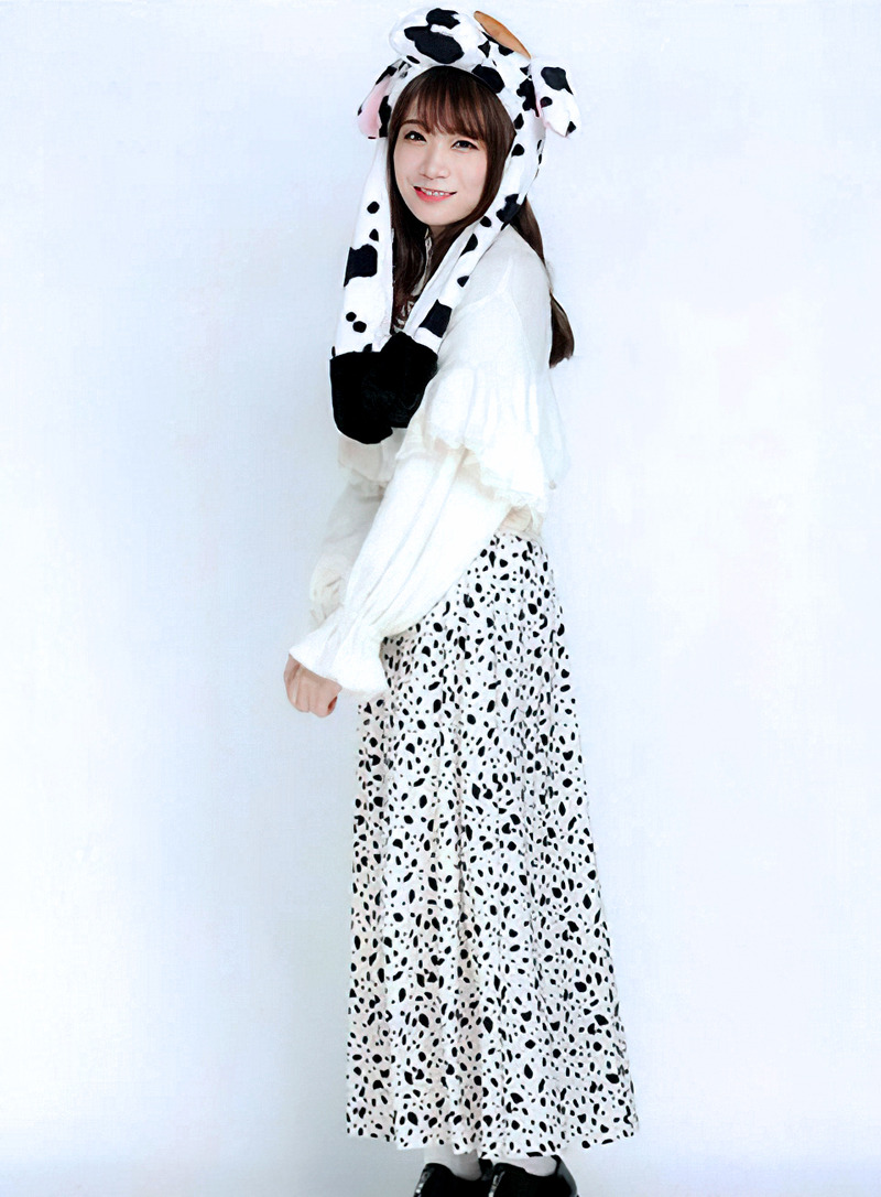 dfs sd33rg