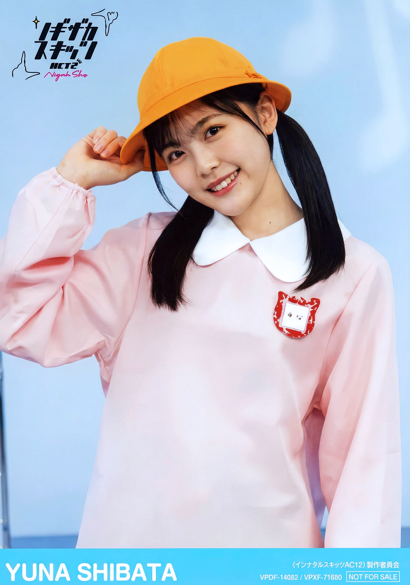 gemini-3-pro-image-preview-2k_a_ノイズ削除_高画質化 (95)