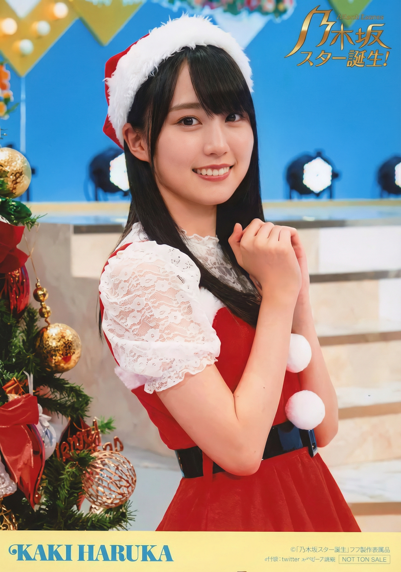 gemini-3-pro-image-preview-2k_a_ノイズ削除_高画質化 (80)