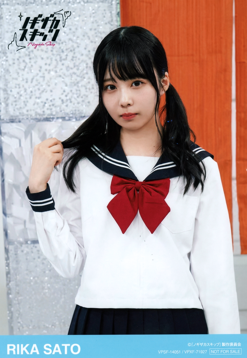 gemini-3-pro-image-preview-2k_a_ノイズ削除_高画質化 (91)