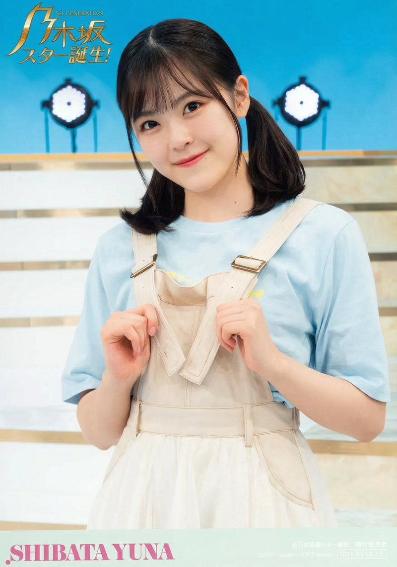 gemini-3-pro-image-preview-2k_a_ノイズ削除_高画質化 (75)