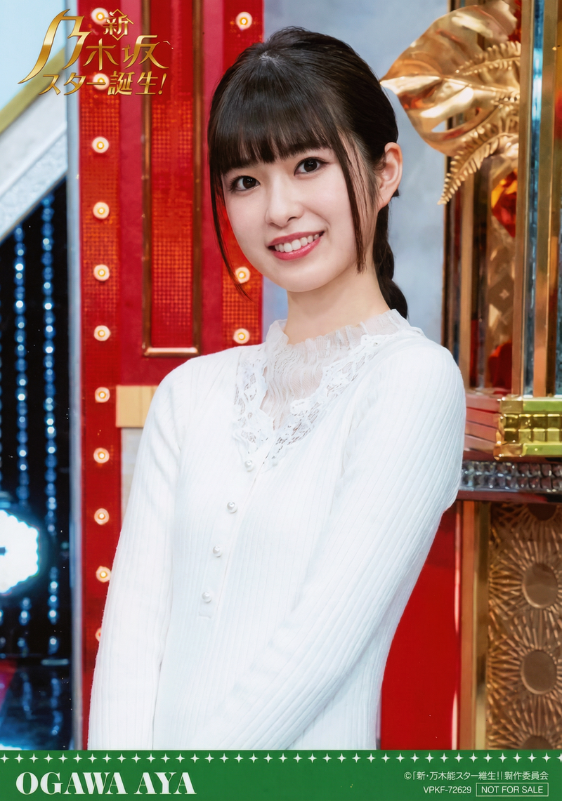 gemini-3-pro-image-preview-2k_a_ノイズ削除_高画質化 (76)
