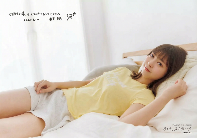 gemini-3-pro-image-preview-2k_a_ノイズ削除_高画質化 (30)